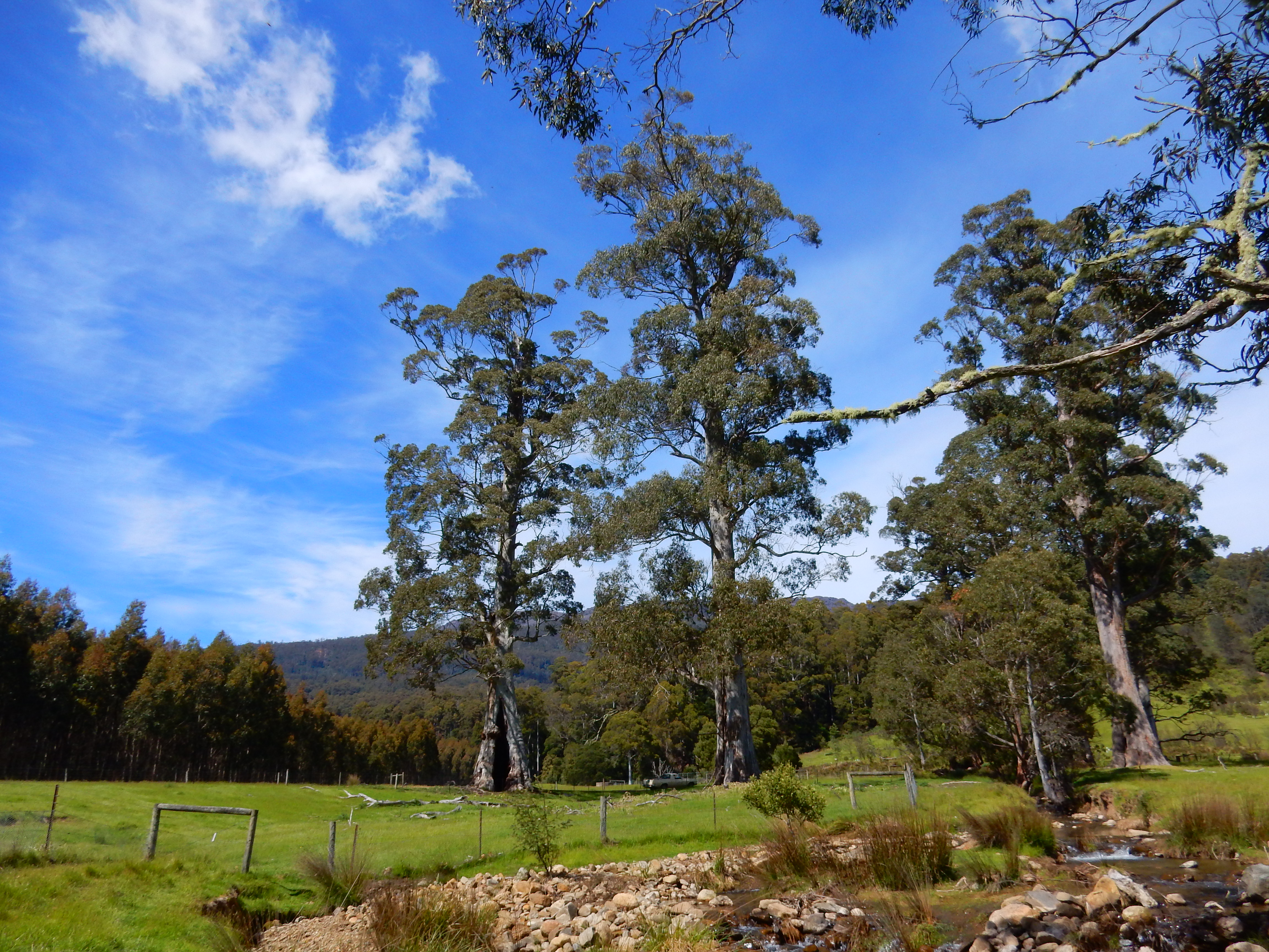 Tasmanian Wilderness World Heritage Area 2013 extension: Aboriginal heritage and wonderful caves.
