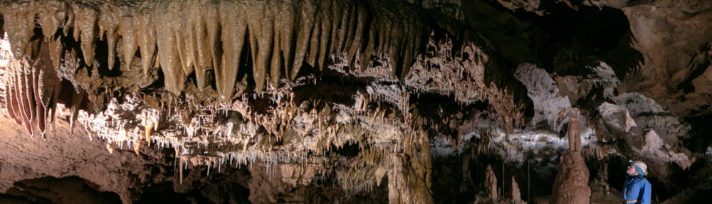 Wild Cave Tours